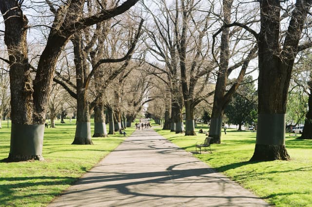 Carlton Gardens